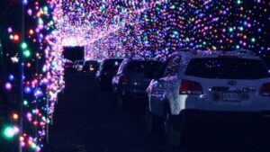 Local light show | Thanksgiving weekend events in the South Shore area in Massachusetts | A holiday guide by Elevated Roots Cannabis