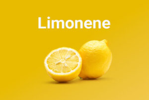 Limonene Terpene for cozy winters | Elevated Roots Cannabis, MA